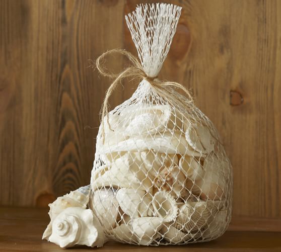 Beach Shell Vase Filler Pottery Barn