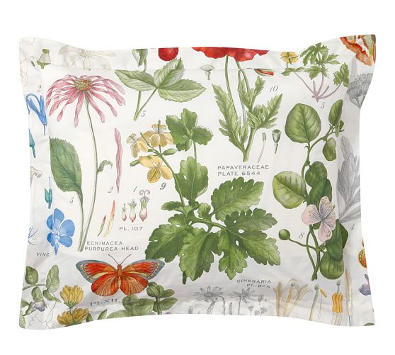 Poppy Botanical Reversible Duvet Cover & Sham Pottery Barn