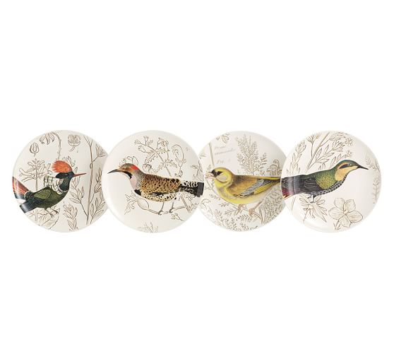 Meadowlark Bird Salad Plate, Set of 4 Pottery Barn