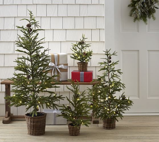 Faux Lit Pine Tree in Basket Pottery Barn