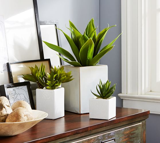 Faux Succulent Stems Pottery Barn