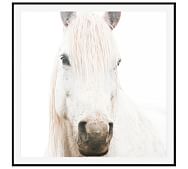 Artificial Wood Horse Home Wall Decor Art And Crafts Factory Wooden Horse House In Hindmarsh William Yuan Hhinterior5 Jpg Home Decorating Blogs Decor