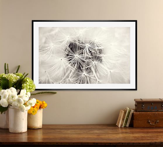Dandelion Framed Print by Lupen Grainne Pottery Barn