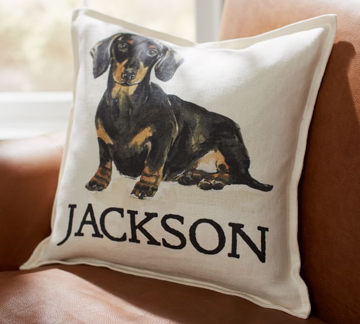 Personalized Painted Dog Pillow Covers Pottery Barn