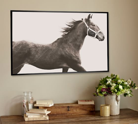 Vintage Horse Framed Print by Jennifer Meyers | Pottery Barn