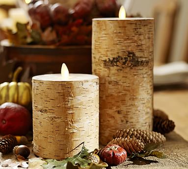 Premium Flicker Flameless Birch Wax Pillar Candle | Pottery Barn